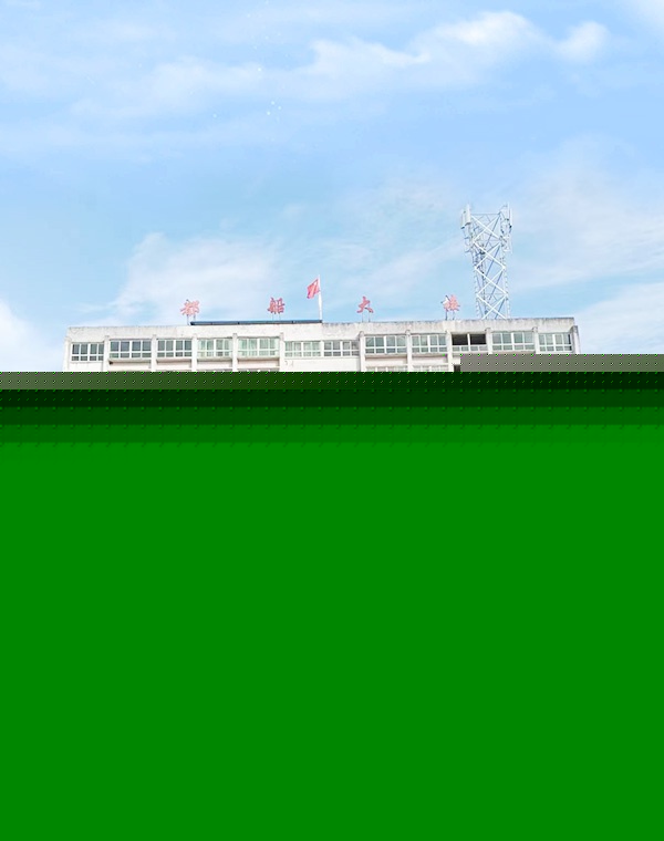 企業(yè)優(yōu)勢